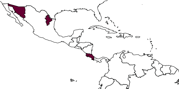 map of Thyreodon sharkeyi     Gauld, in Gauld & Janzen, 2004